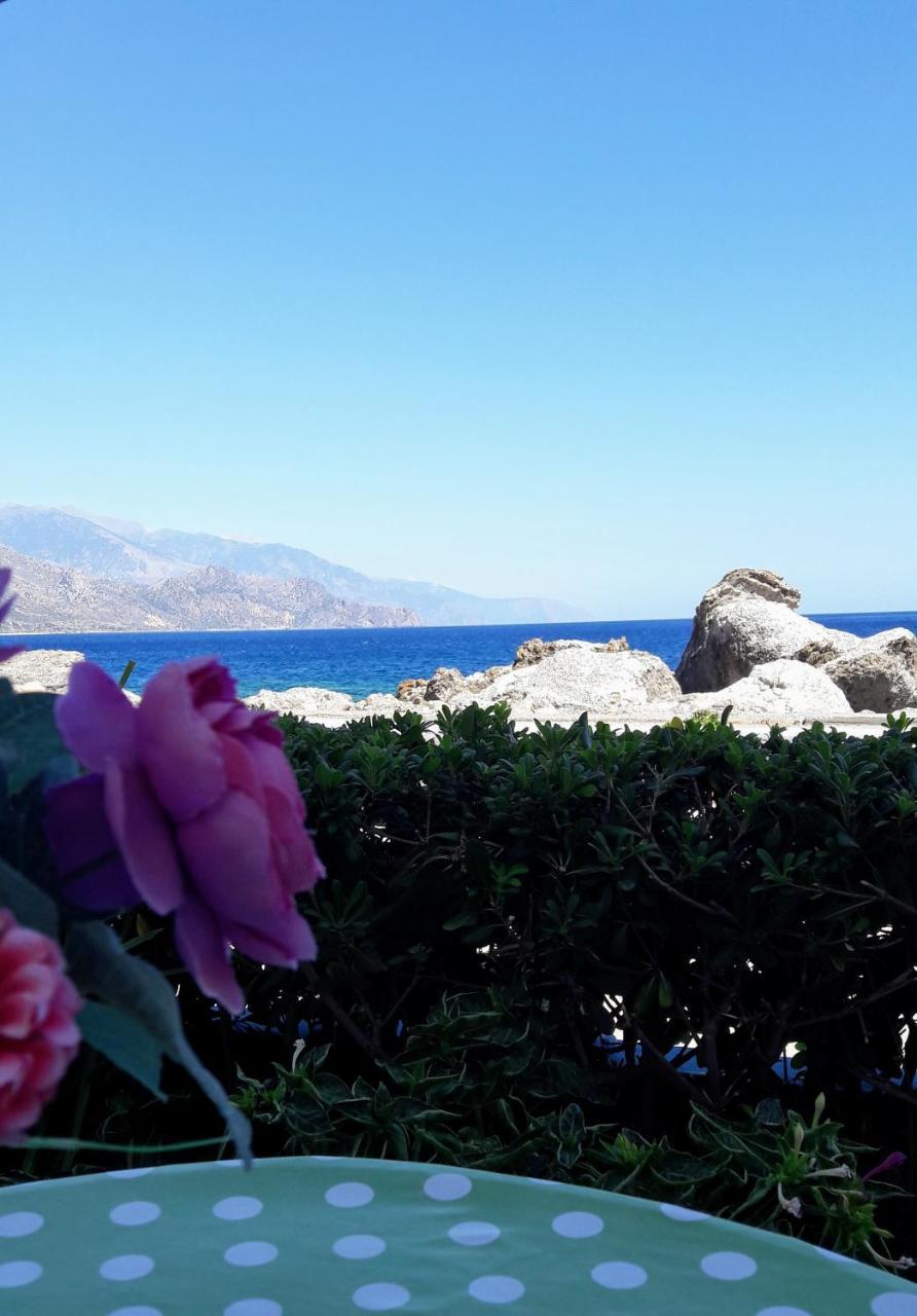 Haris Studios Palaiochora Bagian luar foto